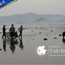 서해안(주) 이미지