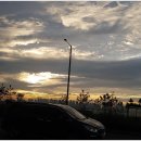 한라종합시장 | 배곧한라비발디에서 바라본 배곧한울부동산의 진짜 동네 이야기 🌿🌊