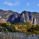 신성리생태공원 이미지