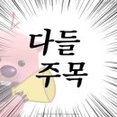 홍키통키 라이프 네이버블로그
