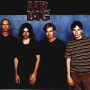 미스터빅 이미지