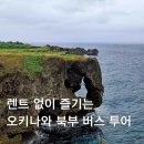 청곡초등학교 건너편 교통섬 | 오키나와 북부 버스투어 여자 혼자 뚜벅이 여행 하루하루투어 후기