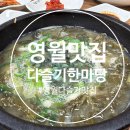 (영월맛집) 영월 다슬기맛집 추천! 현지인도 찾는 다슬기한마당 솔직 후기