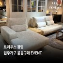 중앙로2R | 트리우스 광명 인테리어 가구 추천 맞춤소파 유피디자인가구
