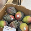 이마트에브리데이 이매동점 이미지