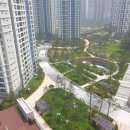 골드문 짐 이미지