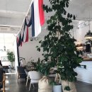 까페프랑(CAFE프랑)