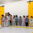 용인대 청솔 태권도 이미지