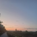 달리는이유 이미지