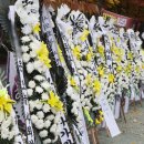 성남시청앞 인도 이미지