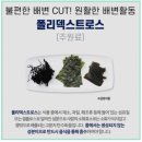 “산후다이어트 추천? 내돈내산으로 해본 솔직 후기”