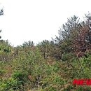 지구방제