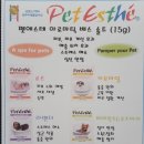 천사 애견 이미지