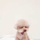 멍문살롱 이미지