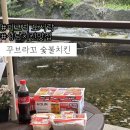 탄리로 | 야외에서 치맥 꾸브라꼬 숯불치킨과 아이들 나들이 피크닉 솔직후기