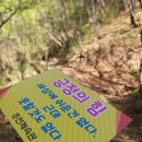 홍천체육관태권도장 네이버블로그