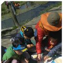 내북초교 병설유치원 이미지