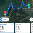 불갑저수지 수변공원 | [계획] 영광 동선 최적화 루트 짜기