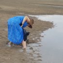 거북선숯불풍천장어 이미지