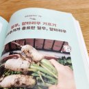 열무농장 | [양주] 6월 주말농장 #열무 #알타리무 솎아내기 #대파 북주기