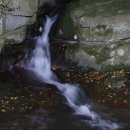 전북오일 이미지