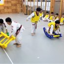 관저태권도 이미지