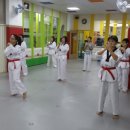 푸르미르 익스트림 태권도장 이미지