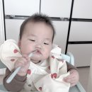 스푼 | 누비 롱핸들 이유식 스푼 후기, 중기 이유식 거부 해결