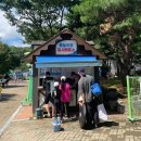 광주교 | 광주 근교 물놀이, 함평 엑스포 물놀이장 (성수기 이용 꿀팁)