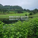 삼성물산(주)안성베네스트GC | 안성 베네스트 cc - 접근성 좋은 예쁜 골프장