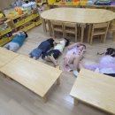 유덕초병설유치원 이미지