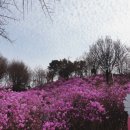 부천8경 포토존3 이미지