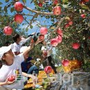 테마투어(지역축제 체험) 이미지
