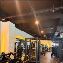 트라이 피트니스 이미지