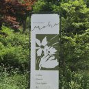 칠곡 가산수피아 카페 모하 더그린하우스 애견동반 후기