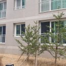 호반써밋114공인중개사사무소 이미지