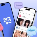 피피독 블로터
