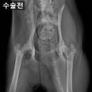 진천동물병원 이미지