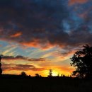 옷사랑크리닝 이미지