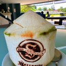 킹콩나이트 | 태국 파타야 골프투어 최고급 투어 후기 시암cc+치찬cc (지출 경비)