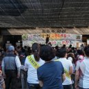 미나리광 이미지