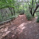 동화천1 이미지