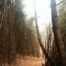 햇귀풍경 이미지