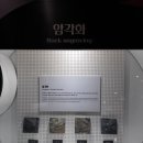 진고래 이미지