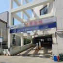 가미당 | [스타필드 고양 근처 맛집]이색 데이트 멕시칸 요리 전문 가미당 후기