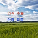 상모안경 이미지