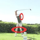 골프챔프 이미지