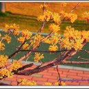 청암공원 이미지