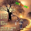 진세이 - 구미시 | 진세이