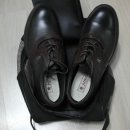 정흥모 Daum카페